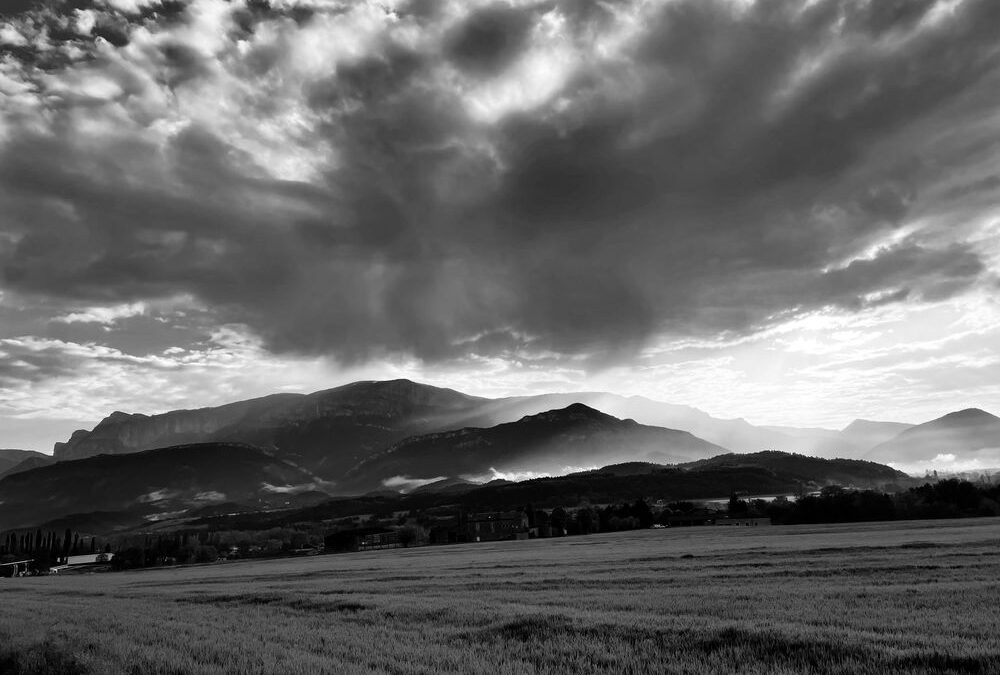Exposition « Sur les terres des collemboles »